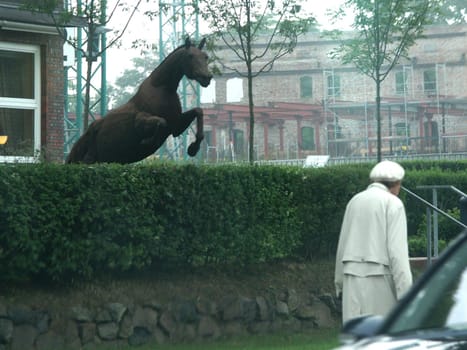 Snapshot from the moving car on Hamburg's Elbchaussee