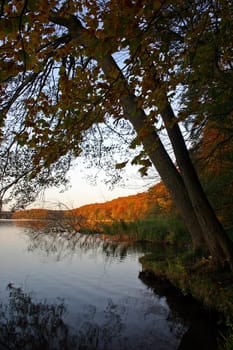 Liebnitzsee