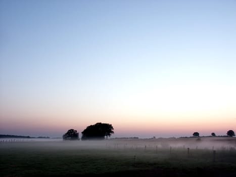 Bright morning
