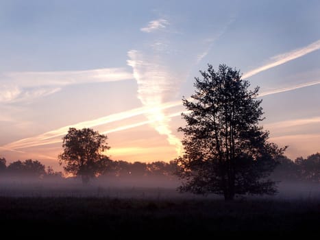Jet stream