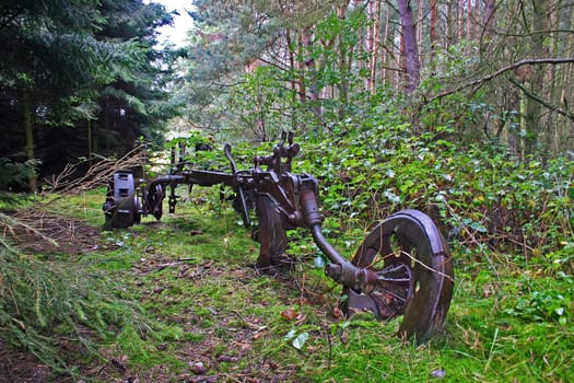 found in the forest of Lancken-Granitz on Rügen