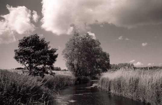 Summer on Rügen
