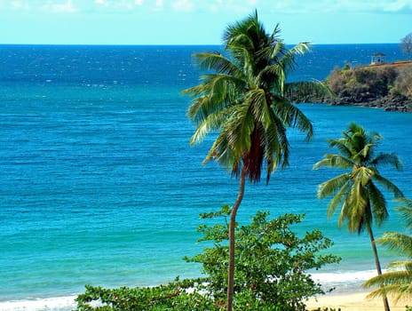 The Ocean