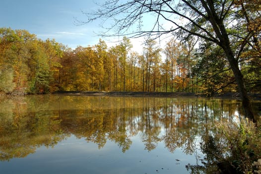 Autumn landscape