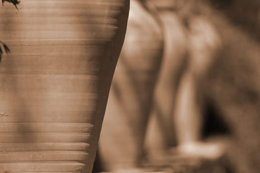 I saw these vases lined up on a wall along a path along the coast.