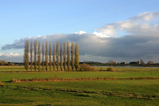 foreland of the Elbe in the evening light