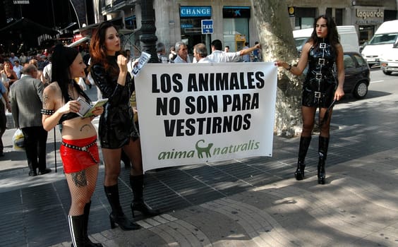 A demo on Las Ramblas