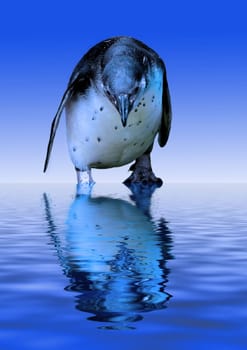 Arctic Penguin