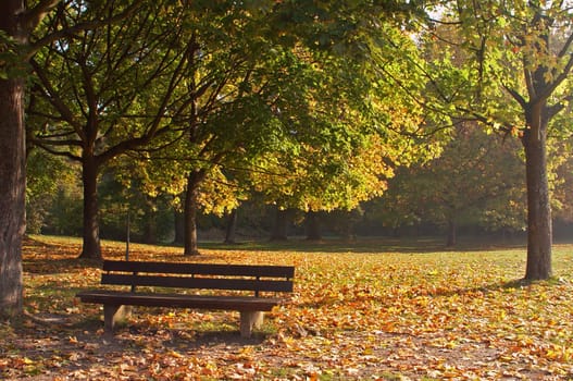 Autumn mood