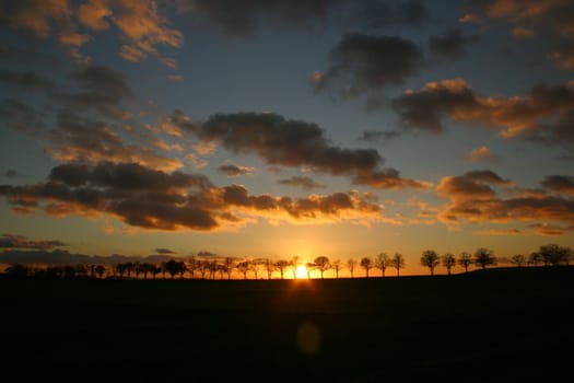 Sonnenallee V