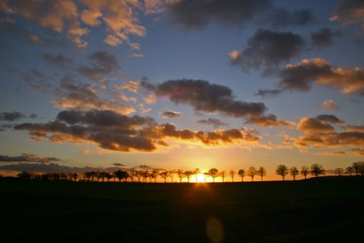 Sonnenallee VI
