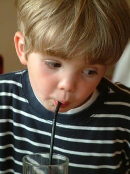 Nephew Anton