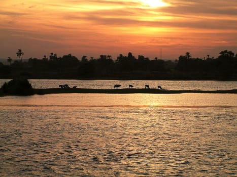 Created Nov. 2003 on a Nile cruise