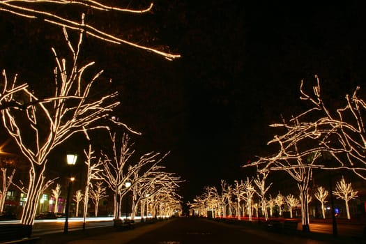 Berlin in pre-Christmas splendour