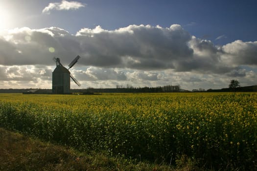 Windmill in rapeseed III