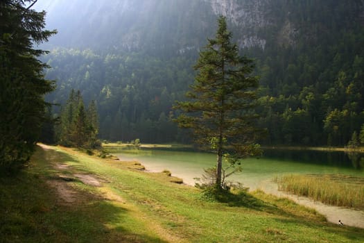 Morning mood at the lake