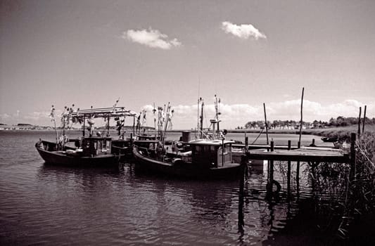 Fishing boats on the Bay of Greifswald