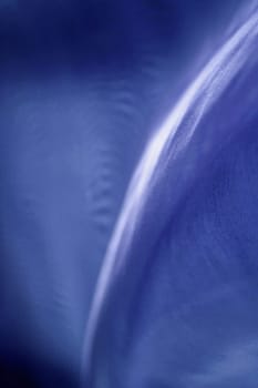 background wallpaper without decorate without blurred without isolated