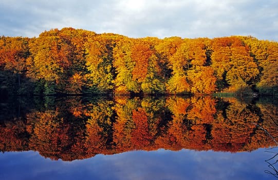 The colors of autumn