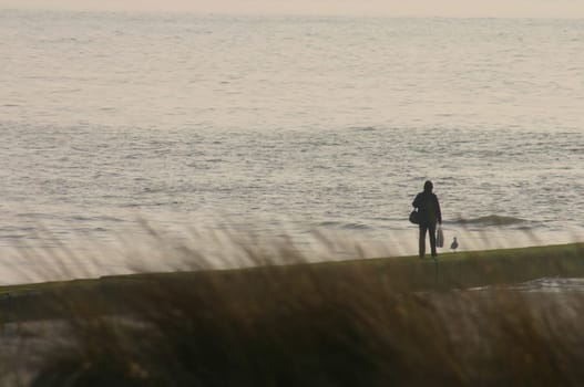 secluded walk on the beach