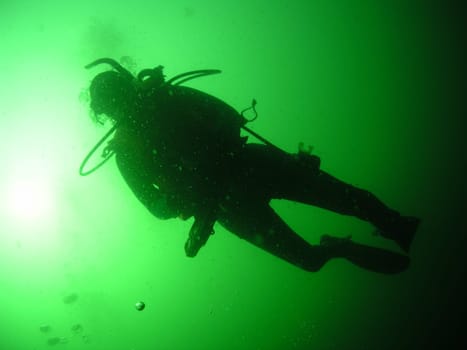 If you think diving is only beautiful in tropical climes,you're wrong!  Admittedly,it is a bit more pleasant in warm water.