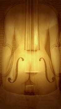 Violin