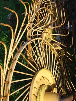 Wheel