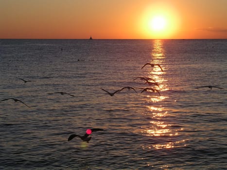 flying into the sunset...