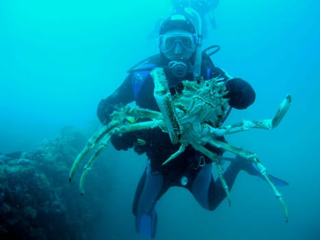 At the wreck of the Baron Gautsch,2003