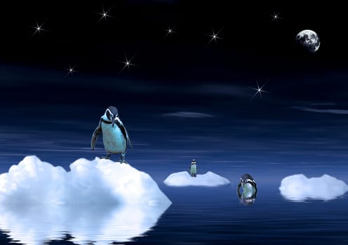 Another penguin picture that will soon work out with the calendar.