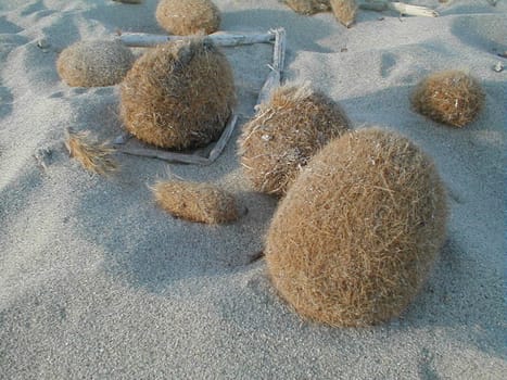 Ibiza on the beach,these formations are,I think,the fibrous remains of seagrass roots,matted by the surf.