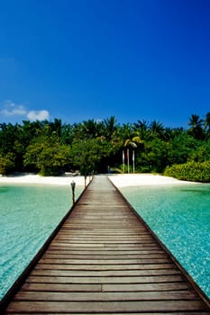Entry to paradise