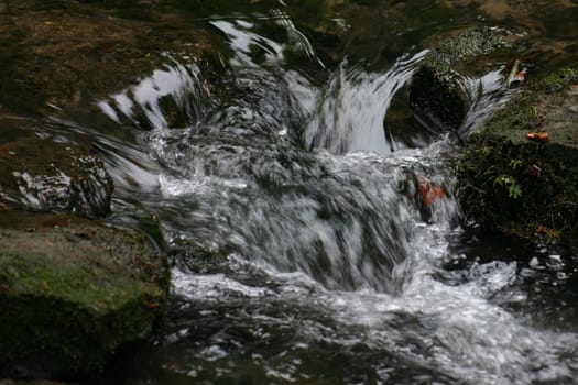 ... in the Silberbachtal Dec 04
