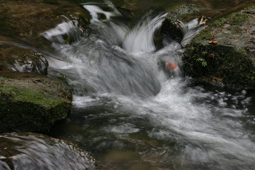 .... in the Silberbachtal Dec 04