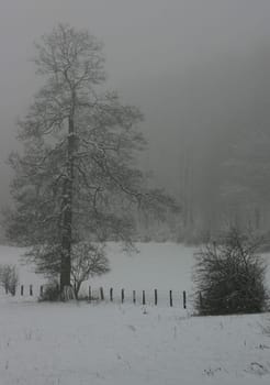 Recorded in Kempen...