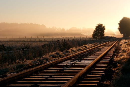 Rails