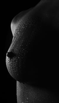 Chest in wet and brighter