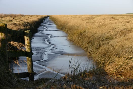 Unfortunately,I do not know what these trenches are called. they are located in the area between Hallig and Deich...
