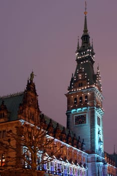 Hamburg City Hall 03