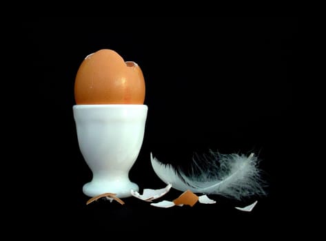 The Egg