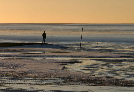 Lonely in the mudflats