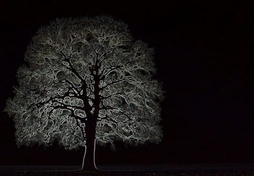 Mystic Tree