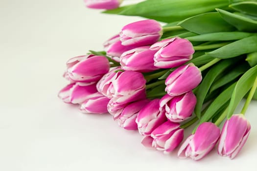 A big bouquet of beautiful pink tulips lies on a white table . copy space. Top view