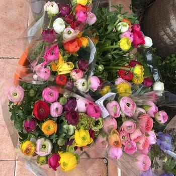 bouquet flowers multicolored roses cellophane gift plants petals women's day. High quality photo
