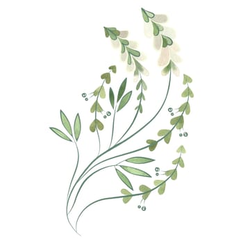 Field grass for cattle feeding. White sweet clover. Green twig with white flowers. Watercolor isolated illustration