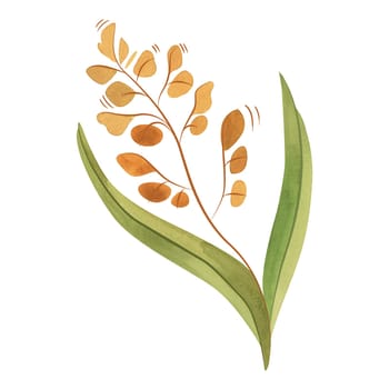 Field grass for cattle feed. Cocksfoot. Spikelet. Green twig of plant. Watercolor isolated illustration