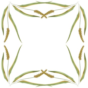 Square frame of field grasses, cereals, ears and leaves. Decor for graphic design, printing and packaging. Isolated hand-drawn watercolor illustration