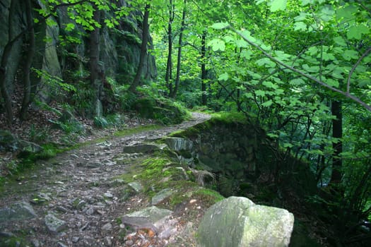 Harz Hiking Trail