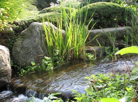 Small Planten and Blomen series. Taken at the Japanese Garden in Planten and Blomen.