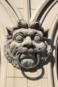 Lion's head
